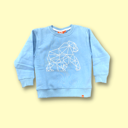 Kids Sweatshirt Light (NEW)