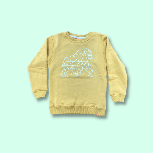 Kids Sweatshirt (NEW)
